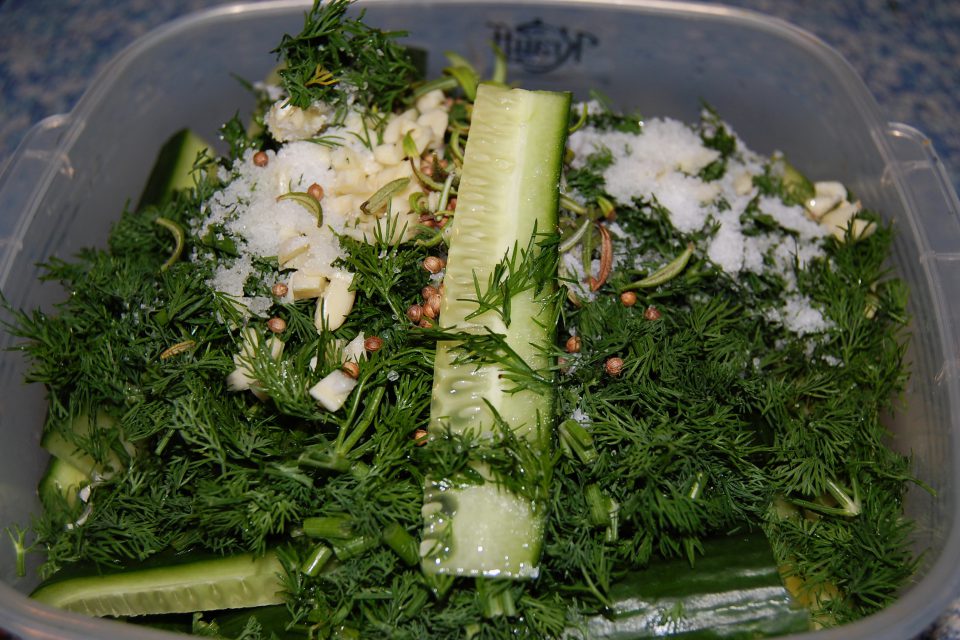 Малосольные огурцы